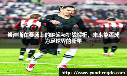 努涅斯在赛场上的崛起与挑战解析，未来能否成为足球界的新星